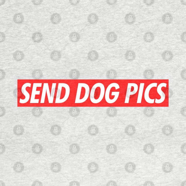 Send Dog Pics by NotoriousMedia